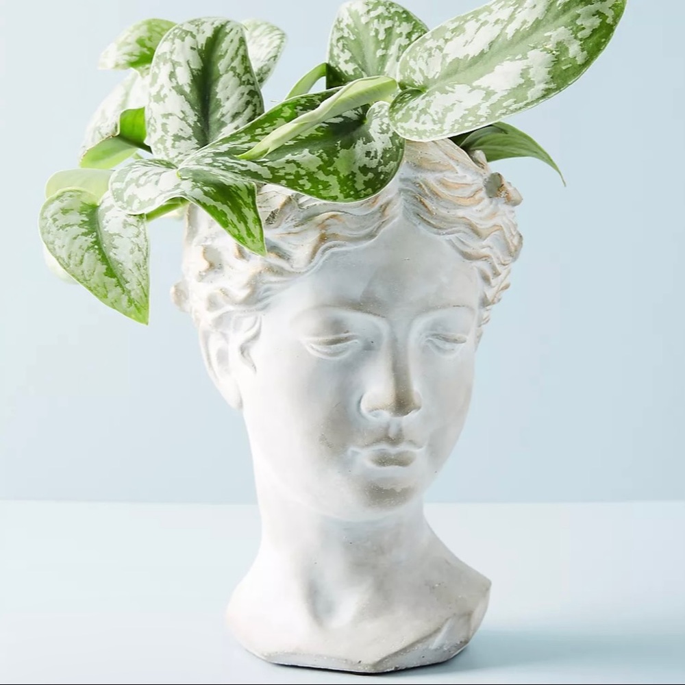 Grecian Bust Pot